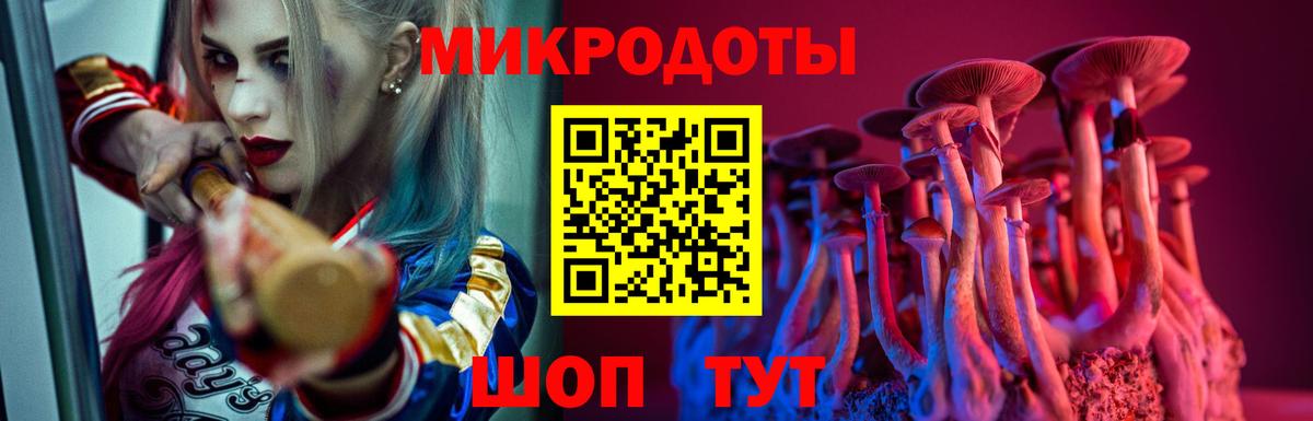 Псилоцибиновые грибы Psilocybine cubensis Санкт-Петербург